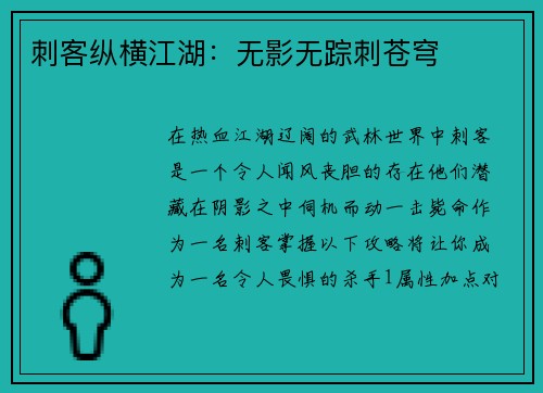 刺客纵横江湖：无影无踪刺苍穹